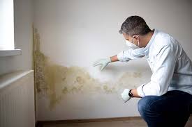 Best Basement Mold Removal in Hebron, PA